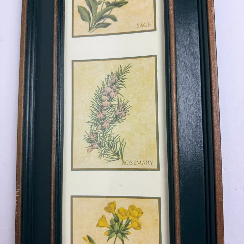 Vintage Country Style Picture Featuring Herbs Wall Decor Set of 2 Botanical ART